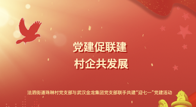 “黨建促聯建 村企共發展”——法泗街道珠琳村黨支部與武漢金龍集團黨支部聯手共建“迎七一”黨建活動